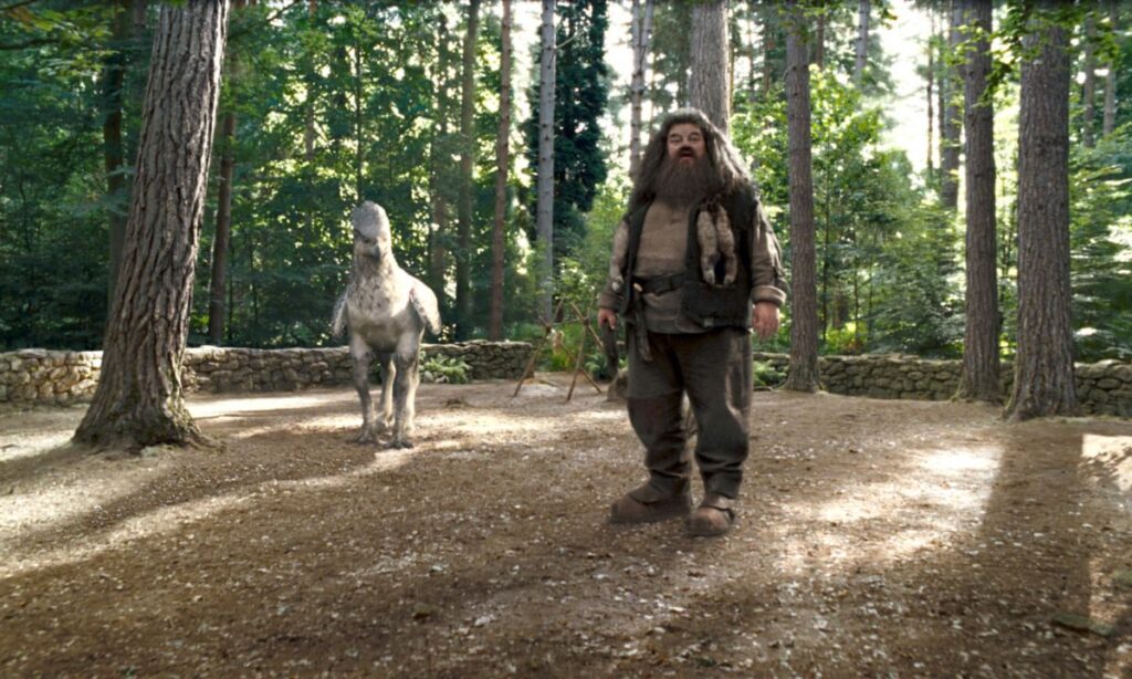 Harry Potter quiz who said this