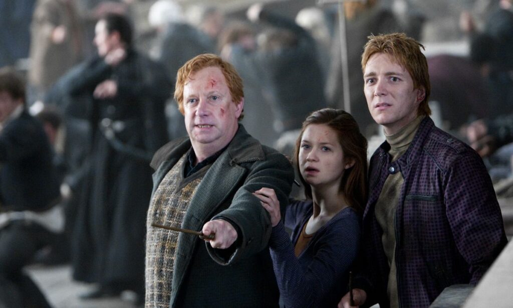 Are you a Pureblood apologist or a muggle sympathizer